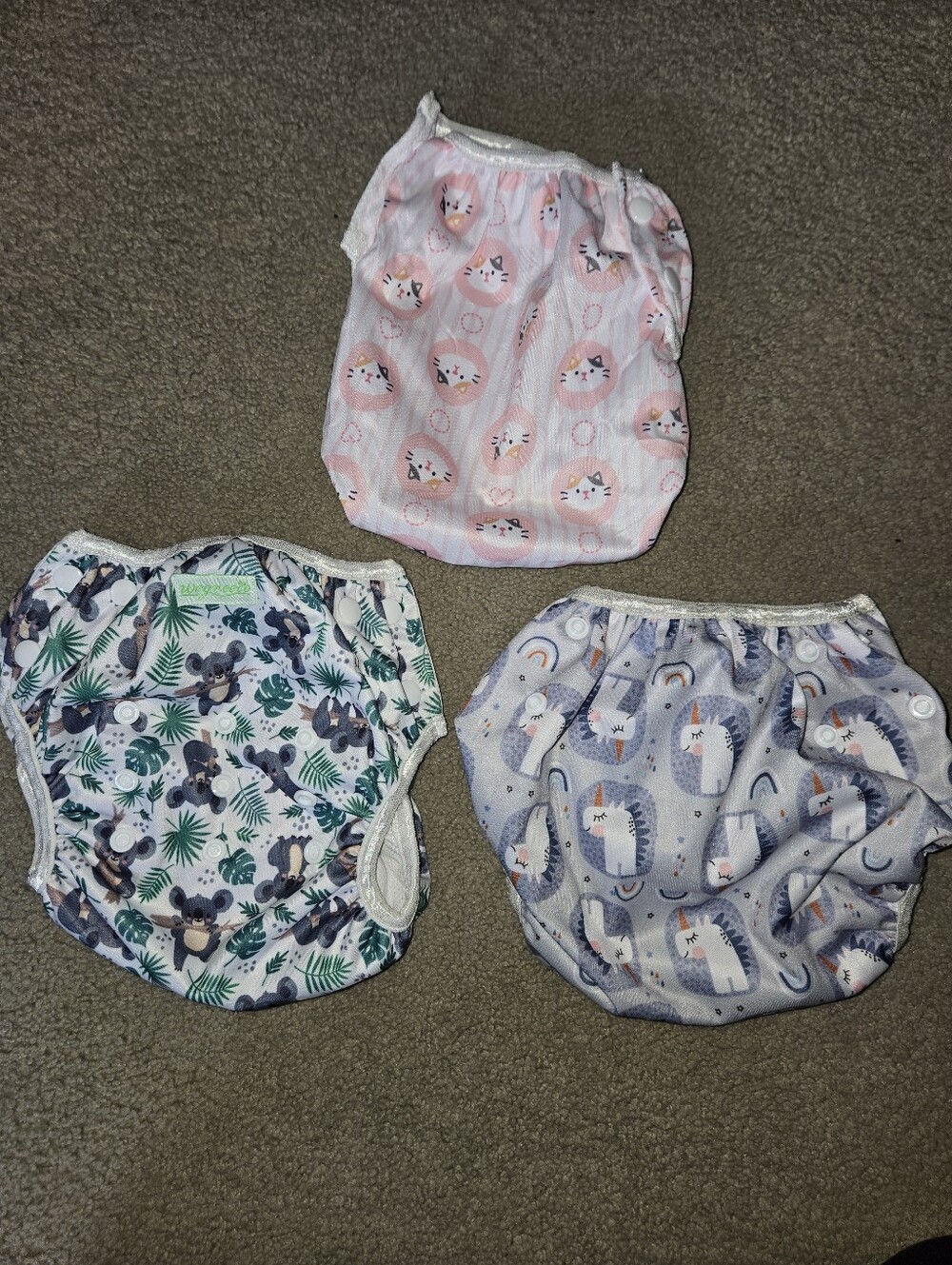 Reusable Swim "Diapers"